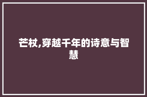 芒杖,穿越千年的诗意与智慧
