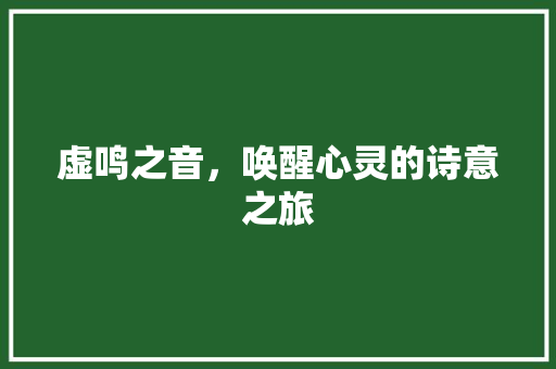 虚鸣之音，唤醒心灵的诗意之旅