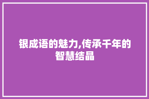 银成语的魅力,传承千年的智慧结晶 成语汇编