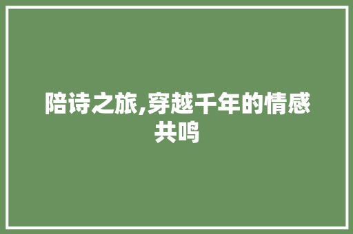陪诗之旅,穿越千年的情感共鸣 英语单词