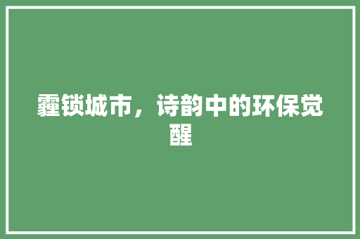 霾锁城市，诗韵中的环保觉醒 短语