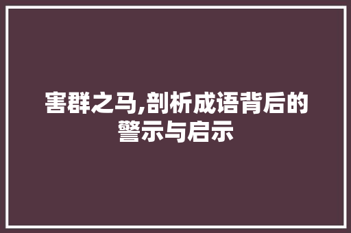 害群之马,剖析成语背后的警示与启示