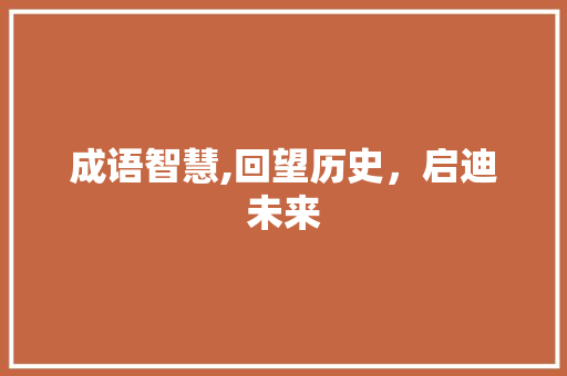 成语智慧,回望历史，启迪未来