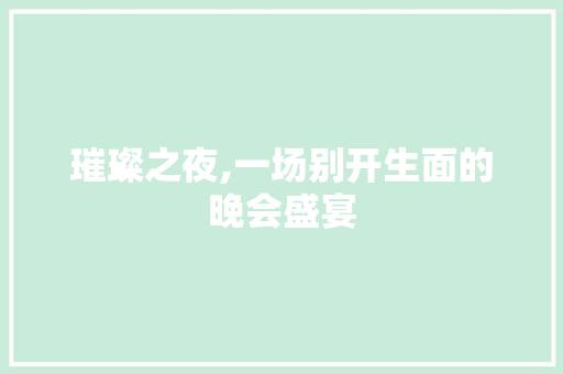 璀璨之夜,一场别开生面的晚会盛宴