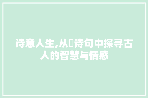 诗意人生,从湳诗句中探寻古人的智慧与情感 成语汇编