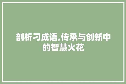 剖析刁成语,传承与创新中的智慧火花