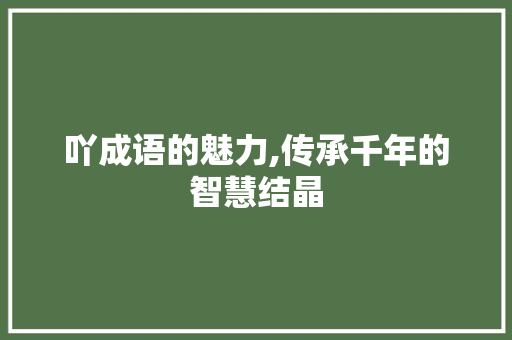 吖成语的魅力,传承千年的智慧结晶 问答