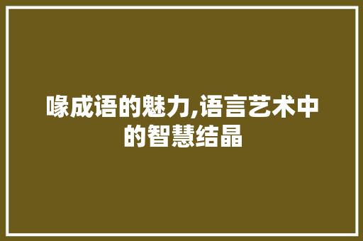 喙成语的魅力,语言艺术中的智慧结晶