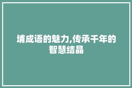 埔成语的魅力,传承千年的智慧结晶