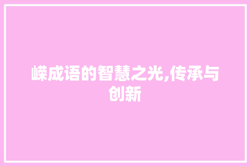 嵘成语的智慧之光,传承与创新