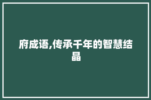 府成语,传承千年的智慧结晶
