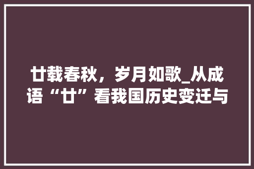 廿载春秋，岁月如歌_从成语“廿”看我国历史变迁与文化传承 古代典籍