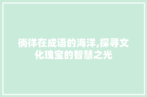 徜徉在成语的海洋,探寻文化瑰宝的智慧之光