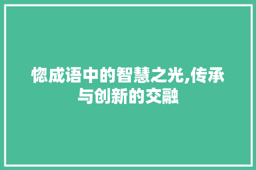 惚成语中的智慧之光,传承与创新的交融 成语汇编