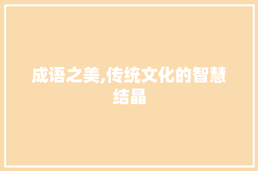 成语之美,传统文化的智慧结晶