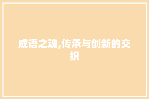 成语之魂,传承与创新的交织