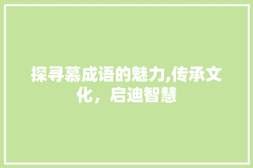 探寻慕成语的魅力,传承文化，启迪智慧