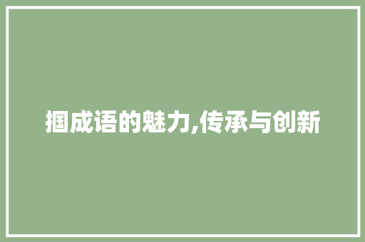 掴成语的魅力,传承与创新