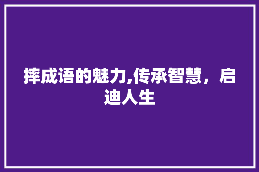 摔成语的魅力,传承智慧，启迪人生