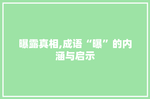 曝露真相,成语“曝”的内涵与启示