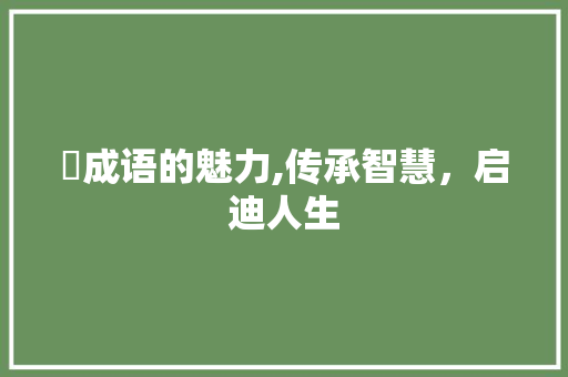 棯成语的魅力,传承智慧，启迪人生