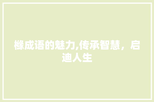 橼成语的魅力,传承智慧，启迪人生