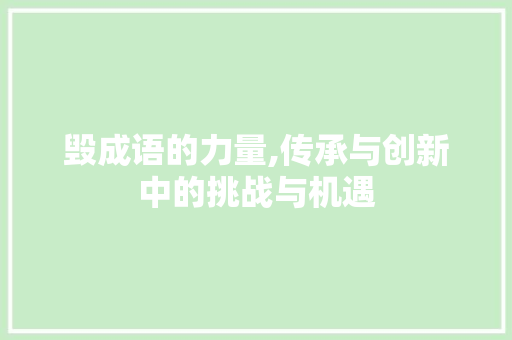 毁成语的力量,传承与创新中的挑战与机遇 问答