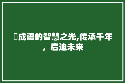 滍成语的智慧之光,传承千年，启迪未来