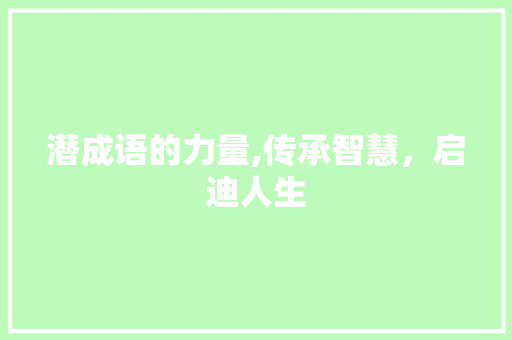 潜成语的力量,传承智慧，启迪人生