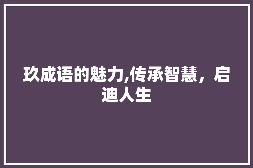玖成语的魅力,传承智慧，启迪人生