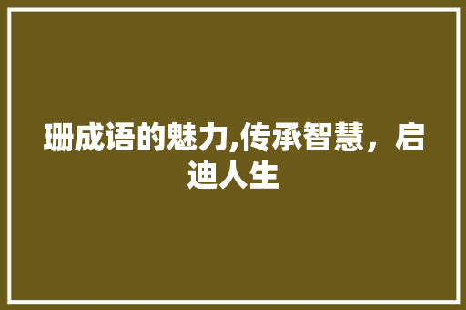珊成语的魅力,传承智慧，启迪人生