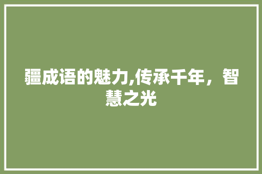 疆成语的魅力,传承千年，智慧之光