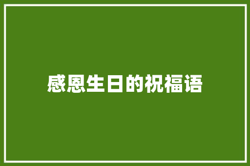 矛成语的魅力,分析成语中的智慧与哲理