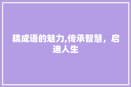 耦成语的魅力,传承智慧，启迪人生