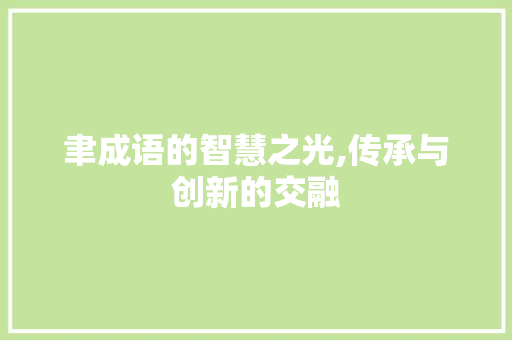 聿成语的智慧之光,传承与创新的交融