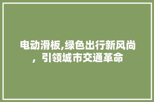 电动滑板,绿色出行新风尚，引领城市交通革命