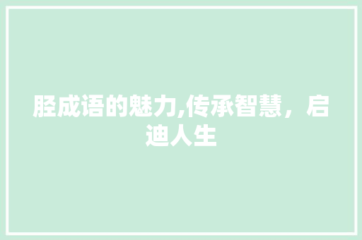 胫成语的魅力,传承智慧，启迪人生