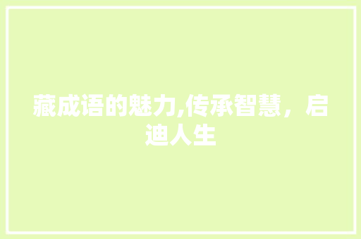 藏成语的魅力,传承智慧，启迪人生