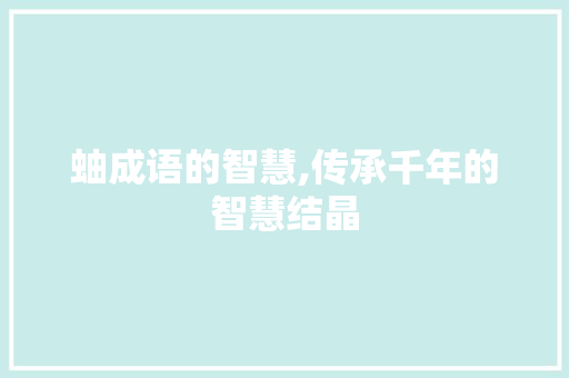 蚰成语的智慧,传承千年的智慧结晶