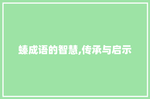 螓成语的智慧,传承与启示