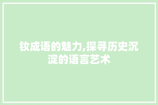 钕成语的魅力,探寻历史沉淀的语言艺术