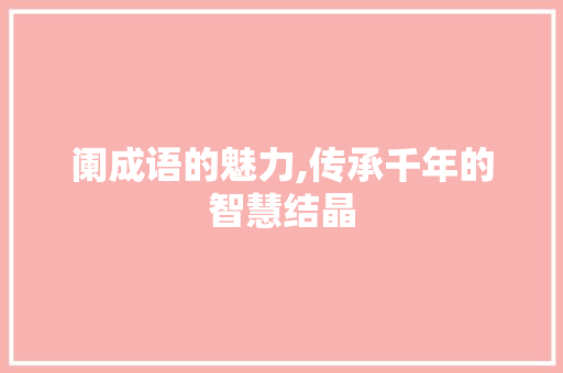 阑成语的魅力,传承千年的智慧结晶