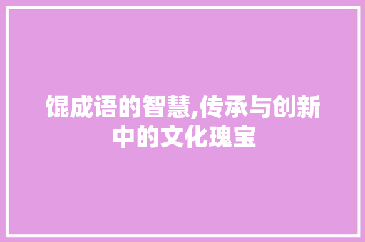 馄成语的智慧,传承与创新中的文化瑰宝