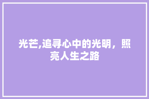 光芒,追寻心中的光明，照亮人生之路