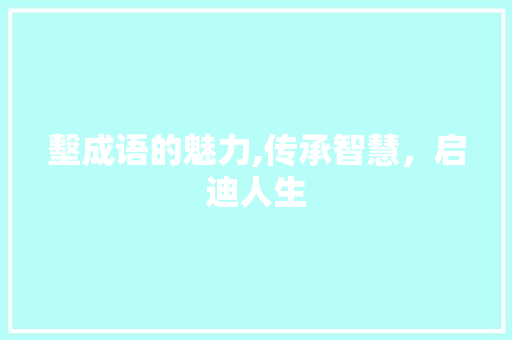 墼成语的魅力,传承智慧，启迪人生