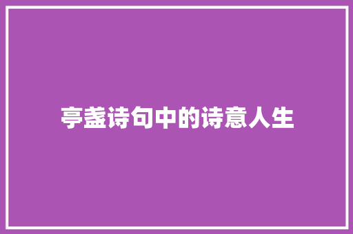 亭盏诗句中的诗意人生