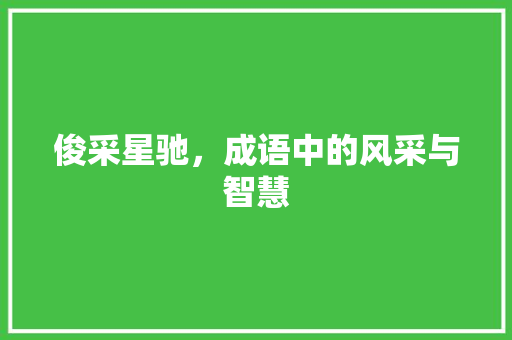 俊采星驰，成语中的风采与智慧