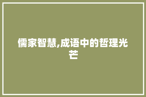 儒家智慧,成语中的哲理光芒 短语