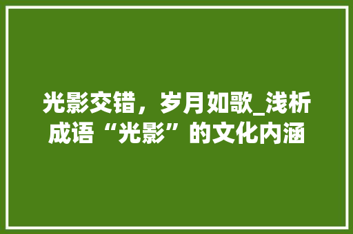 光影交错，岁月如歌_浅析成语“光影”的文化内涵