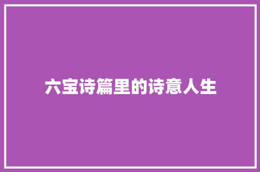 六宝诗篇里的诗意人生